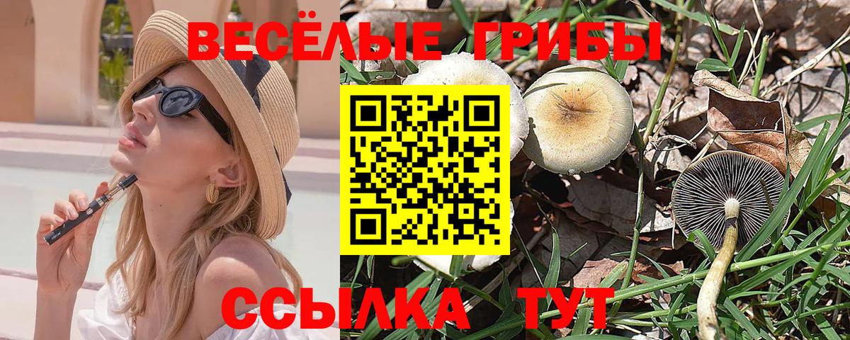 Спасск-Дальний  Галлюциногенные грибы мухоморы  Вход с VPN 